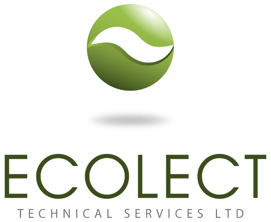 Ecolect Branding shadow logo
